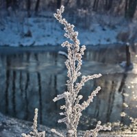 В лучах теплого солнца :: Евгения Стасеня