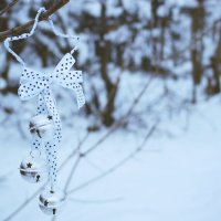 Снег и серебро :: Alёna L.