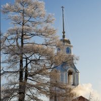 Морозным утром.. :: Елена Панькина