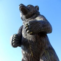 норвежский медведь :: Жанна Забугина