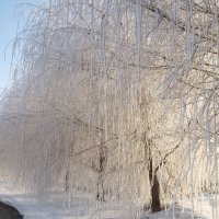 Дрога в рай. :: Василий Быков