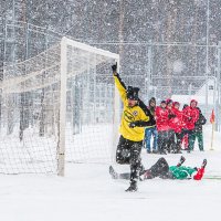 Победный гол. :: Анатолий Евстропов