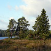 На озере. :: ПетровичЪ,Владимир Гультяев