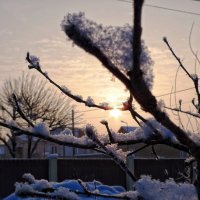 Утро после снегопада. :: Тарасова Наталья