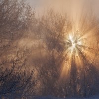 Солнечный взрыв :: Олег Самотохин