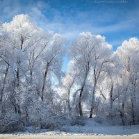 По дороге в Углич :: Андрей 