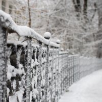долгожданный снег :: Екатерина Бутина