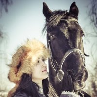 Зимняя встреча на лошадях 1 :: Любовь Борисова