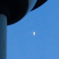 Взгляд на луну :: Andy Bayt