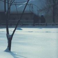 Зима :: Сахаб Шамилов