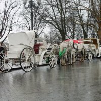 Ждут Золушку. :: Владимир 