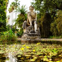 Ботанический сад Палермо :: Творческая группа КИВИ