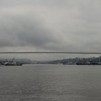 Владивосток. Мост через бухту Золотой рог. :: Sergey 