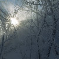 Холодное солнце :: Олег Самотохин