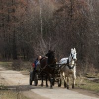 Горная маршрутка. :: "Наиль Батталов