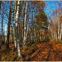 Осень :: Иван Клещин
