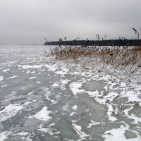 Унылая пора.. :: Алексей Сараев