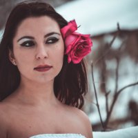Девушка, роза, снег :: Анна Долгова