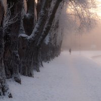 Морозное утро на Пряжке :: Григорий Кинёв