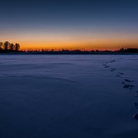 Следы на снегу :: Sergey Oslopov 