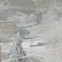 Winter in Armenia :: Ester 