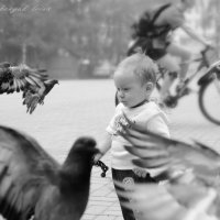 мальчик и голуби :: Ирина Гребенюк