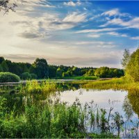 Уголок почти дикой природы. :: Константин Ушмаев