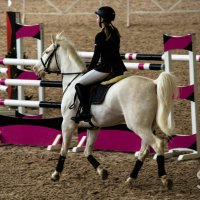 Лошади меняют наши жизни. :: Alesya Safe