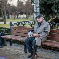 Старик и кот :: Аркадий Григораш