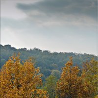 Осенний пейзаж :: Татьяна 