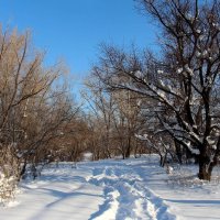 Декабрь. Пятница. Тринадцатое. :: Dr. Olver