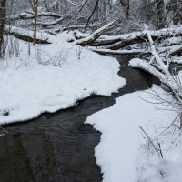 Речушка :: Олег Козлов