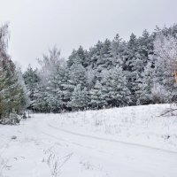Зима :: Мария Богуславская