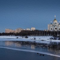 -30 ниже нуля, а уткам все равно! :: Светлана Васильева