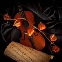 Натюрморт - скрипка и физалис :: Андрей Куликов
