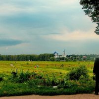 И снова к Покрова на Нерли! :: Владимир Шошин