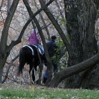 Прогулка на лошадке :: Сергей Мягченков