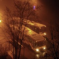 Ночной туман. :: Sergey ///