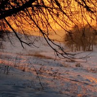 Зимний закат :: anna borisova 