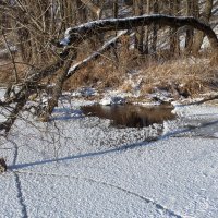 Здесь начинается озеро :: Оксана 