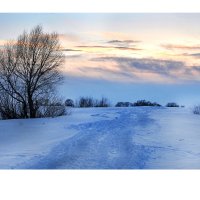 Зимний закат :: Диана Задворкина