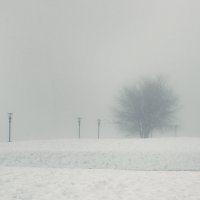 Туман на набережной :: Елена Черепицкая