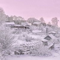 На зорьке :: Табаско Перчик