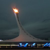 Олимпийский факел. :: Larisa Gavlovskaya