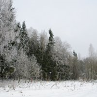 Зима :: Алек Пономаренко