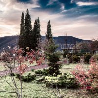 Осенние зарисовки :: Светлана Васильева