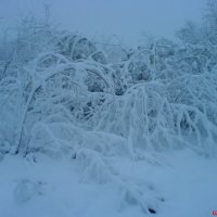 Зима :: Aleksey Litkin