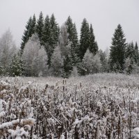 Первый снег :: Сергей Лысков