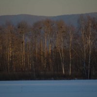 Зимний февральский пейзаж :: Виктор Алеветдинов