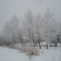 Зима :: Андрей Тер-Саркисов